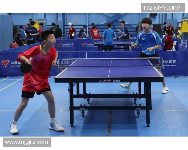 成都乒乓球队进攻战术解析与深度剖析乒乓球运动的魅力与技巧