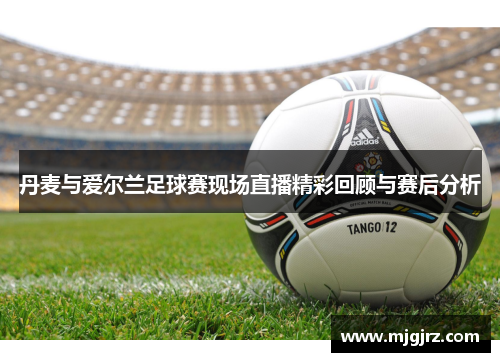 丹麦与爱尔兰足球赛现场直播精彩回顾与赛后分析
